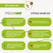  MICO NEO MICO NEO | ALR | 60 Capsules | Helps Against Symptoms of Seasonal Allergy | Reduces Cough | Golden Sun Reishi Sun Mushroom Lion Mane and Camu - Buy Online on GoSupps.com