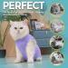 Avont Katzenbody | Post-Op Recovery Suit for Cats | Leak Protection | Lavender S | Ideal for Castration Spay Wound & Skin Disease Care - Buy Online on GoSupps.com