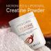 Codeage Liposomal Creatine Monohydrate Powder - Pure 5000mg Micronized Creatine for Sports Muscles - 90 Servings - Buy Online on GoSupps.com