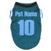 Petitebelle Customizable National Theme Dog Shirt (Argentina-2 Size S) Argentina 2 Small