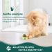 Organic Catnip Ball Toy - 4 Pack for Cats - Interactive Chew Toy for Indoor Cats - Catnip Wall Treats - Teeth Cleaning & Anxiety Relief - Buy Online on GoSupps.com