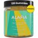 Alafia Naturals Sugar Free Creatine Gummies for Strength & Recovery - 120 ct | Chewable Creatine with L-Carnitine 5g per Serving 30 Servings for Men & Women - Buy Online on GoSupps.com