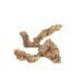 Sphagnum Moss for Terrariums & Orchids - Premium Chilean 500g | Buy Online - Buy Online on GoSupps.com
