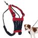 Dog Harness - No pull and No choke humane Design Non Pulling Pet Harness with Mesh vest Easy Step-in Adjustable Mesh Harness for control Red Medium by Sporn Medium Red