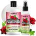 Shampoing et Apr s-Shampoing pour Tous Types de Dreadlocks Tresses et Torsades L'eau de Rose et la Menthe Shampoing pour Cheveux Boucl s et Spray Shampooing Rose Hydratant 2 PCS
