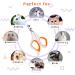SUPERNIGHT Pet Claw Scissors Cat Nail Clipper Safe Cat Claw Cutters with Positioning Hole Pet Nail Trimmer for Any Small Pet Kittens Puppies Hamsters Rabbits ect. (Single hole) - Buy Online on GoSupps.com