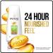 Pantene Nature Fusion Smoothing Conditioner 12 oz - Pack of 2 | Avocado Oil Infused - Buy Online on GoSupps.com
