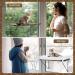 LSAIFATER Cat Window Perch with Metal Support - Spacious Cat Hammock and Comfortable Bed for Kittens & Large Cats - Buy Online on GoSupps.com