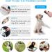 Dog Training Whistle & Clicker Set - High Pitch Plastic Whistle with Adjustable Frequencies - Professional Ultrasonic Sound for Barking & Recall - Includes Wrist Strap and Lanyard - Buy Online on GoSupps.com