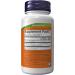 NOW Foods American Ginseng 100 Capsules 500 mg (Pack of 3) - Buy Online on GoSupps.com