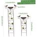 Kolibri 2-in-1 Wet Moss Bird Potions & Garden Trellis - Metal Bird Water Dispenser & Retro Stand Feeder for Outdoor Garden Decoration - Buy Online on GoSupps.com