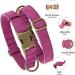 Didog Adjustable Soft Leather Dog Collar for Medium & Small Dogs - Durable & Stylish Purple Collar with Quick Lock Metal Buckle (13-21 Inch Neck) - Buy Online on GoSupps.com
