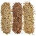 Cat Grass Seeds Non-GMO A Mixture of Wheat Oats and Barley (10 Packs) 25 g (Pack of 10) - Buy Online on GoSupps.com