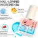 Gelike EC Cuticle Oil For Nails - Natural Pomegranate Smell Essential Oil Blend of JOJOBA Oil and Vit E Smooth and Nourishing Nails 16ml 01 - Pomegranate - Buy Online on GoSupps.com