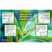 100% Pure Ravintsara Essential Oil - USDA Organic Cinnamomum Camphora | Premium Aromatherapy - 10ml - Buy Online on GoSupps.com