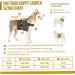 OneTigris Hoppy Camper 2.0 Dog Backpack for M/L Size Dogs - Tear-Resistant Camping & Hiking Pack (Large Black) - Buy Online on GoSupps.com