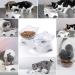 Milifun Elevated Tilted Cat Food Bowls | Anti-Vomiting Orthopedic Kitty Bowls for Indoor Cats - White - Buy Online on GoSupps.com