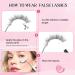 Glowing Win Cat Eye False Eyelashes - 7 Pairs of Naturally Fluffy Mink Lashes | Reusable Clear Band Fluffy Fake Lashes - Buy Online on GoSupps.com