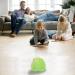 JUNERAIN Super Soft Frog Plush Stuffed Animal 30cm - Fluorescent Green | Cute Squishy Hugging Pillow Toy for Kids, Toddlers, Boys, Girls - Cuddly Frog Decoration - Buy Online on GoSupps.com