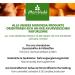 Pepper Turmeric Capsules - 10 000mg Turmeric Extract Curcumin and Piperine - 3 Month Supply - Vegan & Gluten Free - 1x 90 Pieces - Buy Online on GoSupps.com