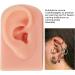 3Pcs Soft Silicone Ear Models for Piercing Training - Reusable, Flexible, 3 Colors - Buy Online on GoSupps.com