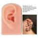 3Pcs Silicone Right Ear Model Set for Piercings Practice - 3 Colors, Easy to Use, Reusable with Stand - Buy Online on GoSupps.com
