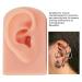 3-Part Soft Silicone Ear Model - Flexible & Reusable Right Ear in 3 Colors | Ideal for Teaching & Demonstrations - Buy Online on GoSupps.com