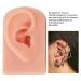 Reusable Silicone Fake Ear Model - Easy to Use for Acupuncture Training - 3 Colors Available - Buy Online on GoSupps.com