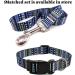Mihqy Adjustable Dog Collar - Soft & Comfortable Bohemian Blue Design for Small Medium & Large Dogs (XS: Neck 20-30 cm) - Buy Online on GoSupps.com