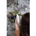 SonnenMoor Herbal Massage Fluid 200ml - Natural Sports Relief Spray for Pre & Post Workout Massage - Buy Online on GoSupps.com