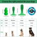 RUCACIO Dog Chew Toy - Durable Outdoor Interactive Toothbrush Toy for Medium Dogs | Dental Care & Teeth Cleaning | Puppy Birthday Gifts - A-Green - Buy Online on GoSupps.com