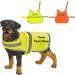 Personalised High Vis Dog coat vest pet puppy safety hi viz custom print reflective Both Sided Print (Small Orange) Small Orange - Buy Online on GoSupps.com