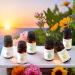 Hotel Scent Essential Oil Set | 6 x 0.33 fl. oz Aromatherapy Oils for Diffusers Car Freshies Candle Making & DIY Blends - Buy Online on GoSupps.com