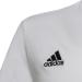 Buy adidas Unisex Entrada 22 T-Shirt for Kids (7-8 Years) - White International Shipping Available - Buy Online on GoSupps.com