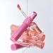 Buy rom&nd Glasting Color Gloss (01 PEONY BALLET) | Kbeauty Plumping Glossy Moisturizing Light Pink | International Shipping Available - Buy Online on GoSupps.com