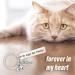 Cobee Cat Memorial Gift Keychain Loss of Pet Key Chain Pet Loss Sympathy Gifts for Cat Pet Lover Women Men - Buy Online on GoSupps.com