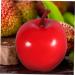 ABOOFAN 60 Pcs Artificial Apple Fruit Model Prop Decoraciones Para Salas De Play Food Apples Model Food Toy Faux Apples Emulated Fruit Model Wedding Decor Accessories Window Foam - Buy Online on GoSupps.com