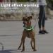 Coolzon LED Light Neck Band Collar - Waterproof 3-Color Adjustable for Cats & Dogs - Super Bright & Multi-Colored - Buy Online on GoSupps.com