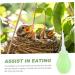 ibasenice Baby Accessories 1pc Pigeon Rehydration Device Ml Dropper for Liquids Baby Feeding Tools Cat Feeder Bird Weaning Tool Squab Weaning Feeder Pet Bird Weaner Pigeon Weaner Food Green 10x3cm - Buy Online on GoSupps.com