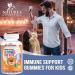 Kids Immune Support Gummies with Vitamin C & Zinc - Vegan Non-GMO - 120 Gummies - Buy Online on GoSupps.com