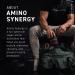 Kaged Muscle Amino Synergy Vegan BCAA + EAA Powder - Raspberry Lemonade with Coconut Water | 30 Servings with Caffeine - Buy Online on GoSupps.com