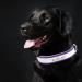 Senristar Personalized Reflective Leather Dog Collar - Engraved Name Tape for Small Medium & Large Dogs & Cats - M Size (2.0 cm Width 28-36 cm Neck) - Violet - Buy Online on GoSupps.com