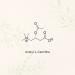 Wild Organic Acetyl L-Carnitine Gummies - 1500mg ALCAR for Energy, Metabolism & Immune Support - 60 Chews - Buy Online on GoSupps.com