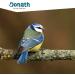Donath Chopped Peanuts - Premium Year-Round Wild Bird Feed | 2 kg | Made in Southern Germany - Buy Online on GoSupps.com