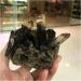 Room Decoration Natural Raw Brown Smoky Quartz Crystal Clusters Specimens Decor Gemstone Flowers (Size : 280-330g) - Buy Online on GoSupps.com