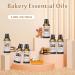 Premium Gingerbread Fragrance Oil 100ml - Essential Oil for Diffusers Candles Soap Making & Bath Bombs - Buy Online on GoSupps.com