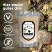 Maca Fit Black 500g Bio Powder - Original Pure Black Maca from Peru | Vegan Gluten-Free Additive-Free - Buy Online on GoSupps.com