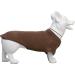 Lovelonglong Pet Clothing Dog Costumes Dachshund Clothes Blank T-Shirt Tee Shirts for Dachshund Dogs Corgi 100% Cotton Coffee D-XL D-XL (for Dachshund -30lbs) Coffee - Buy Online on GoSupps.com