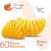 Immune Support: Sugar Free Vitamin C & Echinacea Gummies - 60 Count Pack - Vegan & Gluten Free - Buy Online on GoSupps.com