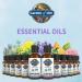 Garden of Life Lavender Essential Oil 0.5 fl oz - 100% Organic & Pure for Diffuser, Aromatherapy, Skincare & Relaxation - Buy Online on GoSupps.com